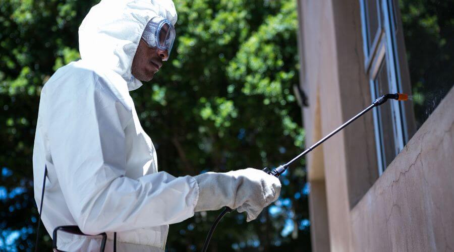 Why choose Mosquito Fogging Tiger Point for mosquito fogging in Tiger Point